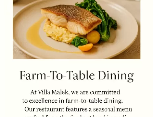 A Culinary Escape: Dining at Villa Malek Hotel